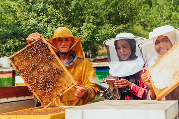 Image showing Arab investors checking the quality of honey on a large bee farm in which they have invested their money. The concept of investing in small businesses