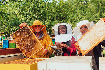 Image showing Arab investors checking the quality of honey on a large bee farm in which they have invested their money. The concept of investing in small businesses