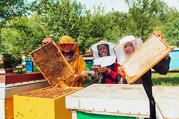 Image showing Arab investors checking the quality of honey on a large bee farm in which they have invested their money. The concept of investing in small businesses