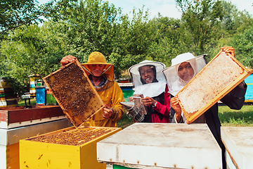 Image showing Arab investors checking the quality of honey on a large bee farm in which they have invested their money. The concept of investing in small businesses