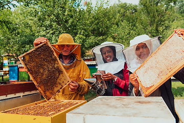 Image showing Arab investors checking the quality of honey on a large bee farm in which they have invested their money. The concept of investing in small businesses