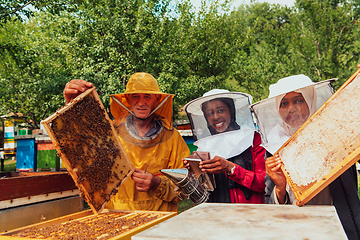 Image showing Arab investors checking the quality of honey on a large bee farm in which they have invested their money. The concept of investing in small businesses