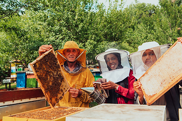 Image showing Arab investors checking the quality of honey on a large bee farm in which they have invested their money. The concept of investing in small businesses