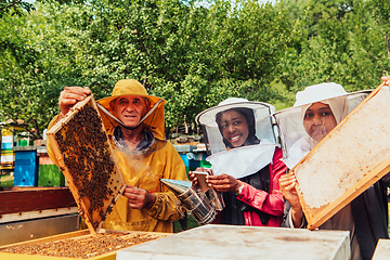 Image showing Arab investors checking the quality of honey on a large bee farm in which they have invested their money. The concept of investing in small businesses