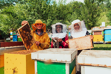 Image showing Arab investors checking the quality of honey on a large bee farm in which they have invested their money. The concept of investing in small businesses