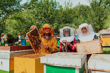 Image showing Arab investors checking the quality of honey on a large bee farm in which they have invested their money. The concept of investing in small businesses