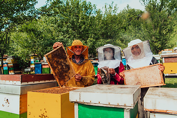 Image showing Arab investors checking the quality of honey on a large bee farm in which they have invested their money. The concept of investing in small businesses