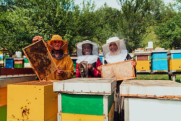 Image showing Arab investors checking the quality of honey on a large bee farm in which they have invested their money. The concept of investing in small businesses