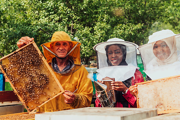 Image showing Arab investors checking the quality of honey on a large bee farm in which they have invested their money. The concept of investing in small businesses