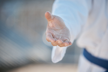 Image showing Person, handshake and welcome for martial arts, deal or challenge with palm for class recruitment on space. MMA teacher, personal trainer or shaking hands for agreement, respect or karate with sport