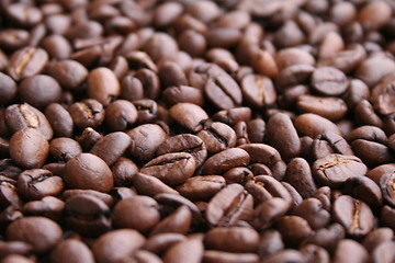 Image showing Coffee beans