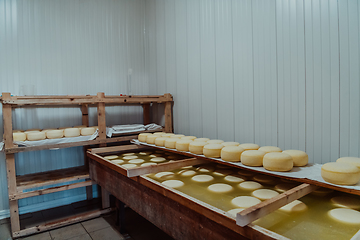 Image showing A large storehouse of manufactured cheese standing on the shelves ready to be transported to markets