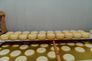 Image showing A large storehouse of manufactured cheese standing on the shelves ready to be transported to markets