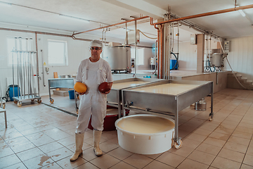 Image showing A cheese makser working in the industry on various machines with the help of which cheese is processed. Small business concept