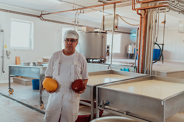 Image showing A cheese makser working in the industry on various machines with the help of which cheese is processed. Small business concept