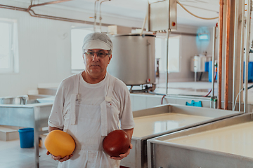 Image showing A cheese makser working in the industry on various machines with the help of which cheese is processed. Small business concept