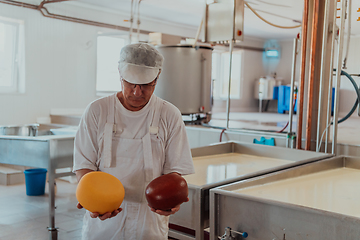 Image showing A cheese makser working in the industry on various machines with the help of which cheese is processed. Small business concept