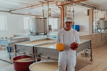 Image showing A cheese makser working in the industry on various machines with the help of which cheese is processed. Small business concept