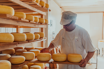 Image showing A worker at a cheese factory sorting freshly processed cheese on drying shelves