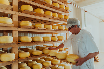 Image showing A worker at a cheese factory sorting freshly processed cheese on drying shelves