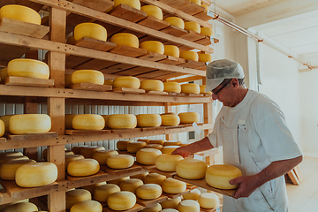 Image showing A worker at a cheese factory sorting freshly processed cheese on drying shelves