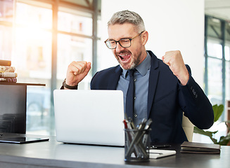 Image showing Business man, laptop and celebration fist for bonus, profit or investment with excited face for stock market success. Senior entrepreneur, broker or winner with goal, achievement or gambling on web
