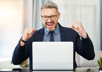 Image showing Excited business man, laptop and celebration with fist, bonus or profit with investment on stock market. Mature entrepreneur, broker or winner for goal, achievement or success in gambling on internet