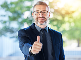 Image showing Business man, senior and thumbs up, support and agreement in portrait with smile, executive and positive feedback. Male CEO, corporate deal and yes vote with voice, emoji and like, happy with opinion