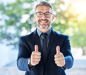 Image showing Business man, senior executive and thumbs up, support and agreement in portrait with smile and positive feedback. Male CEO, corporate deal and yes vote with voice, emoji and like, happy with opinion