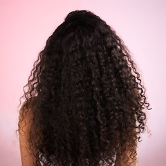 Image showing Woman, back and healthy hair in studio for wellness, cosmetics and growth by pink background. Girl, model and natural coil with balayage, shine and clean glow with texture, results or transformation