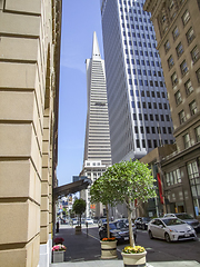 Image showing San Francisco in California