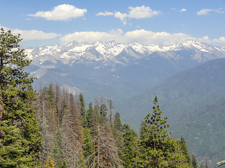 Image showing Yosemite National Park