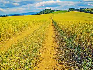 Image showing Country Road