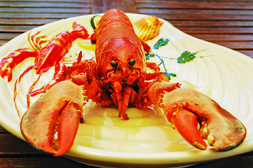 Image showing Lobster