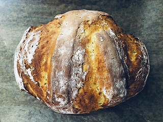 Image showing Bread