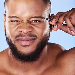 Image showing Wellness, tweezers and portrait of a man in a studio for grooming his eyebrows for facial epilation. Beauty, hygiene and young male model with face hair removal treatment isolated by blue background.