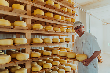 Image showing A worker at a cheese factory sorting freshly processed cheese on drying shelves