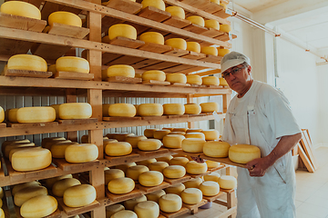 Image showing A worker at a cheese factory sorting freshly processed cheese on drying shelves