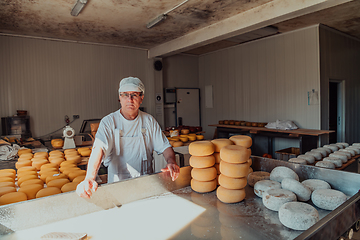 Image showing The cheese maker sorting freshly processed pieces of cheese and preparing them for the further processing process