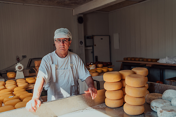 Image showing The cheese maker sorting freshly processed pieces of cheese and preparing them for the further processing process