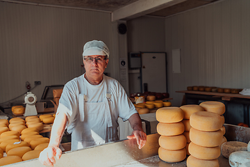 Image showing The cheese maker sorting freshly processed pieces of cheese and preparing them for the further processing process