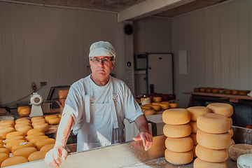 Image showing The cheese maker sorting freshly processed pieces of cheese and preparing them for the further processing process