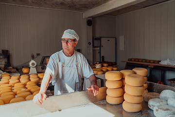 Image showing The cheese maker sorting freshly processed pieces of cheese and preparing them for the further processing process