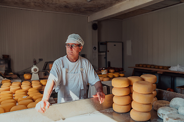 Image showing The cheese maker sorting freshly processed pieces of cheese and preparing them for the further processing process