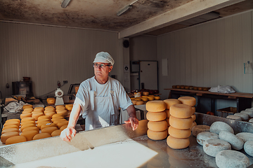 Image showing The cheese maker sorting freshly processed pieces of cheese and preparing them for the further processing process