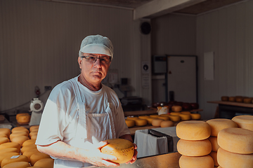 Image showing The cheese maker sorting freshly processed pieces of cheese and preparing them for the further processing process