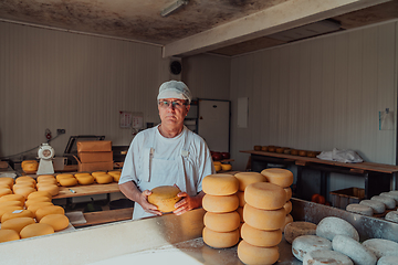 Image showing The cheese maker sorting freshly processed pieces of cheese and preparing them for the further processing process