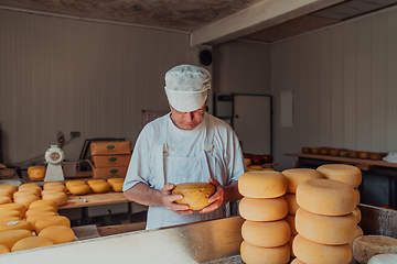 Image showing The cheese maker sorting freshly processed pieces of cheese and preparing them for the further processing process