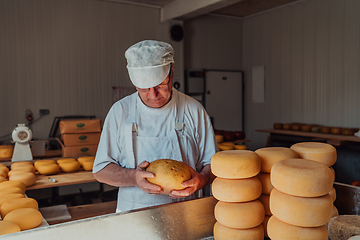 Image showing The cheese maker sorting freshly processed pieces of cheese and preparing them for the further processing process