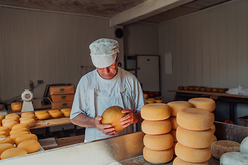 Image showing The cheese maker sorting freshly processed pieces of cheese and preparing them for the further processing process